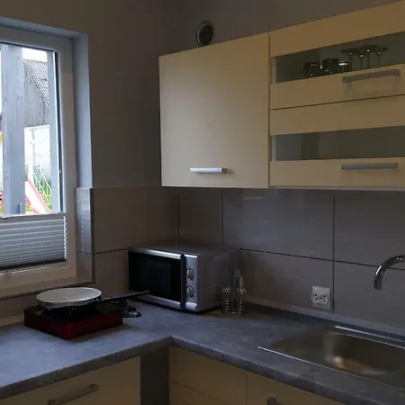 U Oksany Фермерский дом *